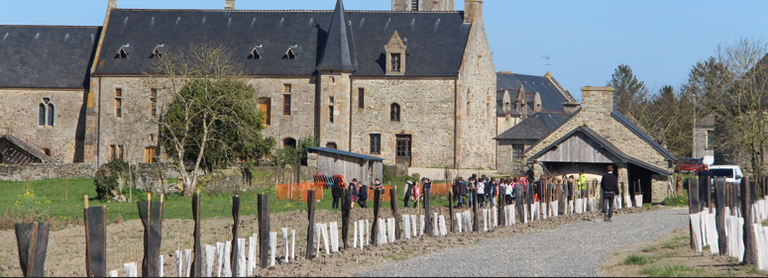 plantation-de-haies-bocageres